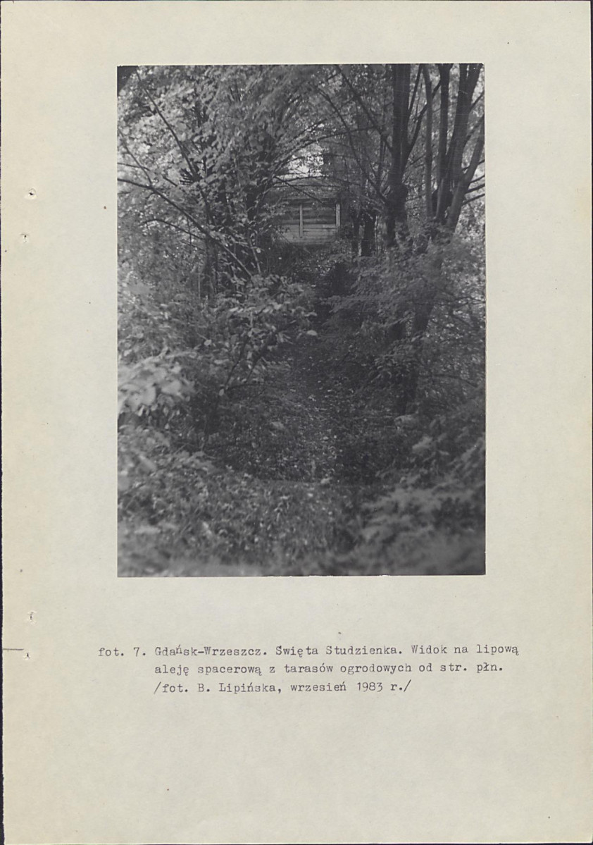 Ewidencja parkowa, skan nr 49
