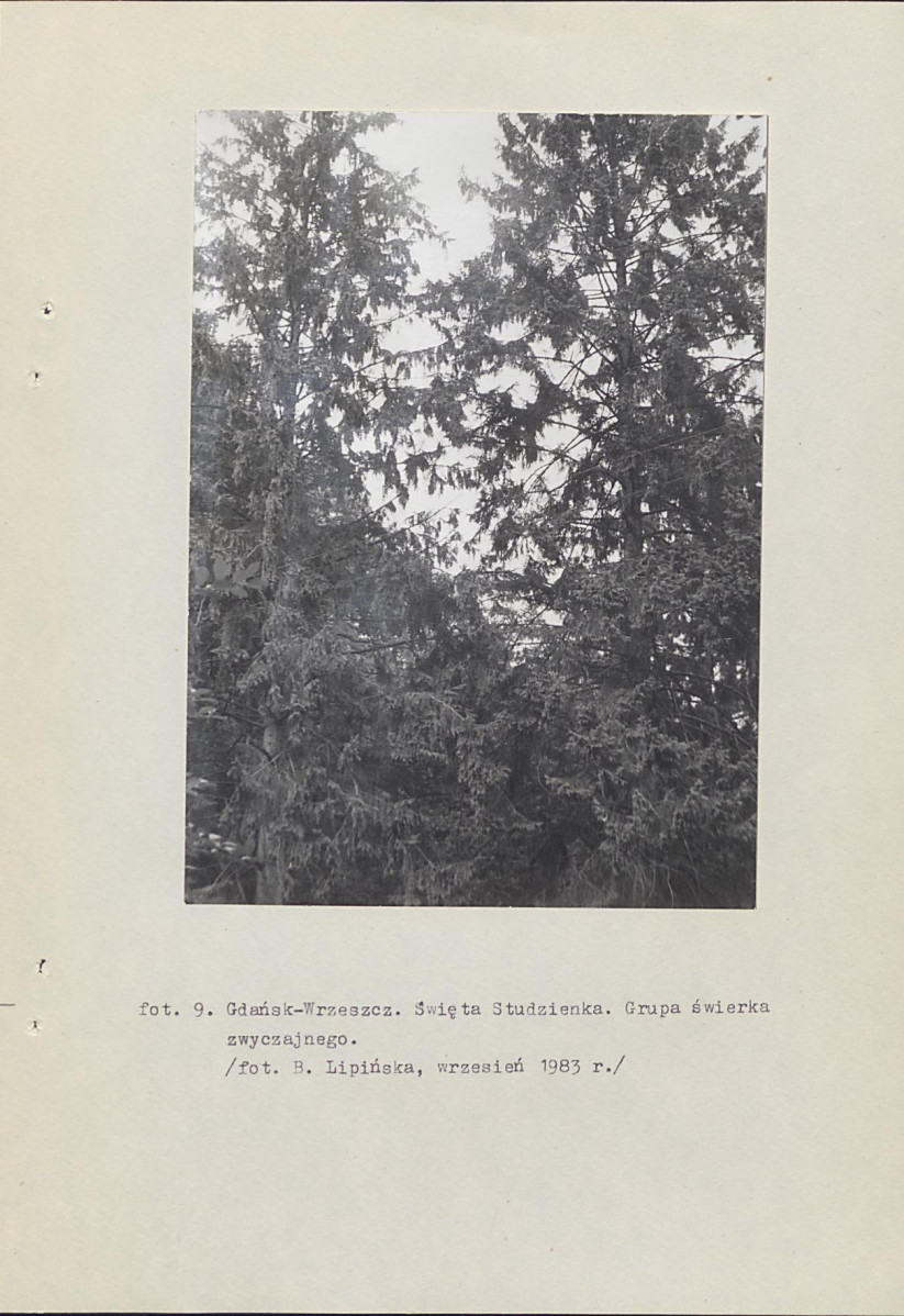 Ewidencja parkowa, skan nr 51