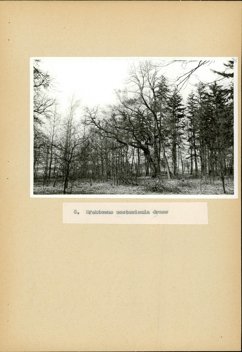 EP - Ewidencja parkowa, skan nr 40