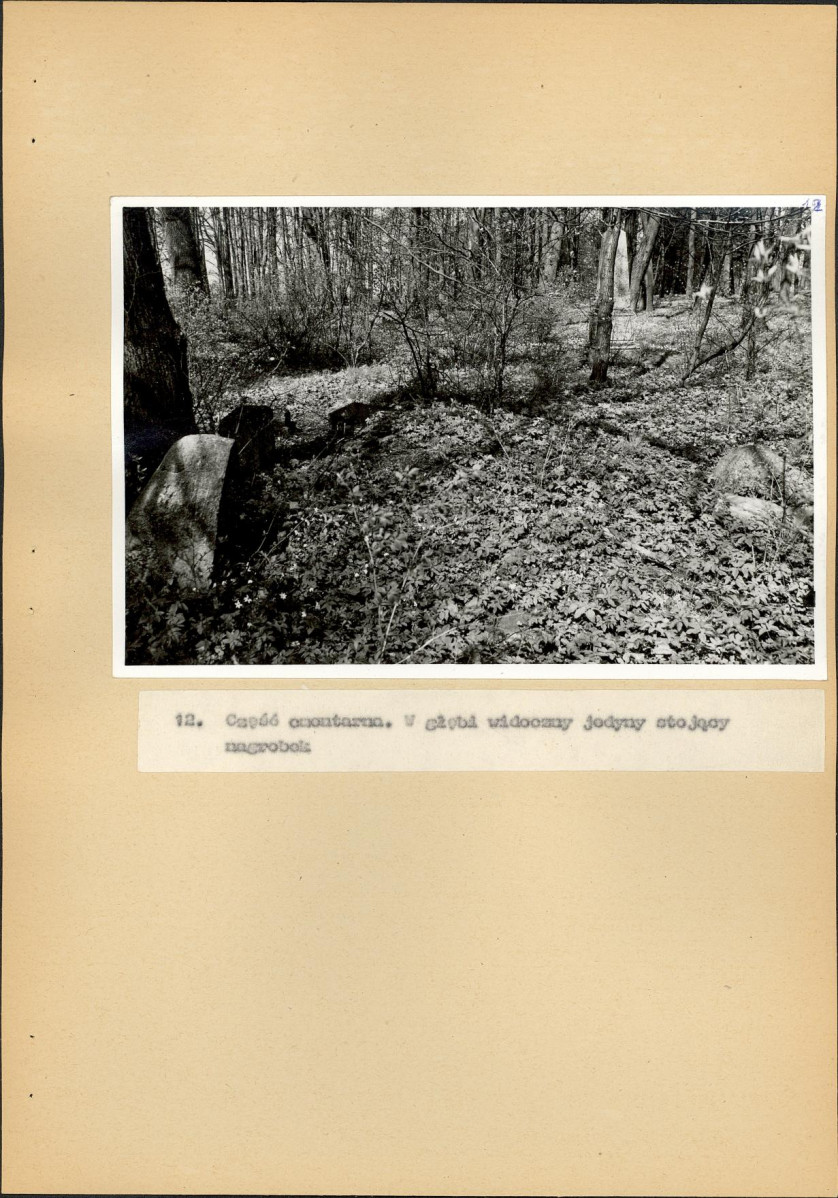 EP - Ewidencja parkowa, skan nr 44