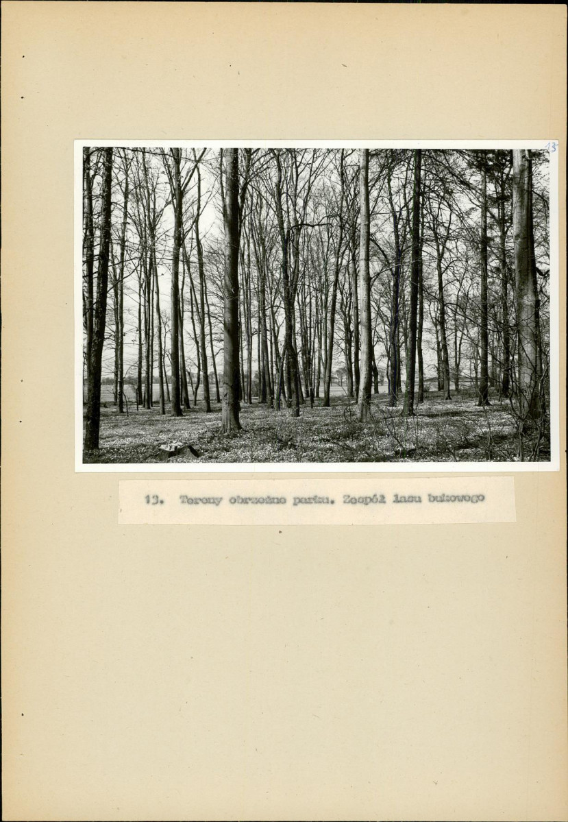 EP - Ewidencja parkowa, skan nr 45