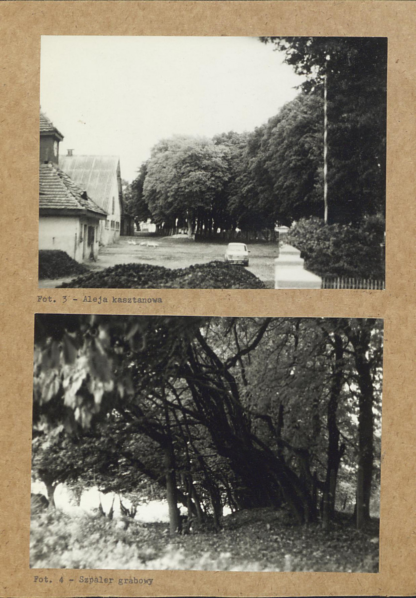 EP - Ewidencja parkowa, skan nr 24