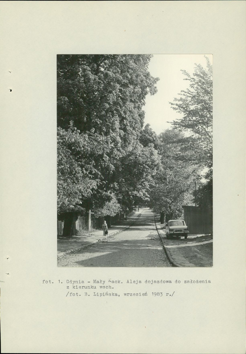 Ewidencja parkowa, skan nr 29