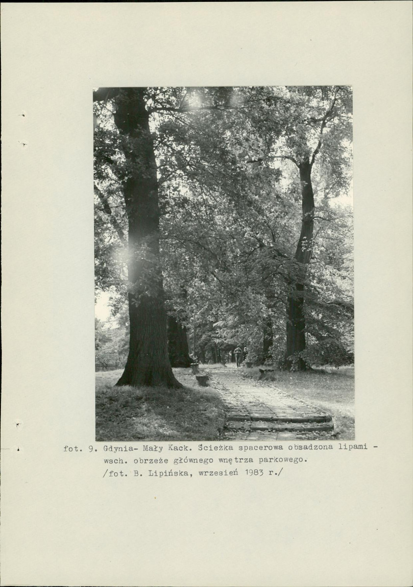 Ewidencja parkowa, skan nr 37