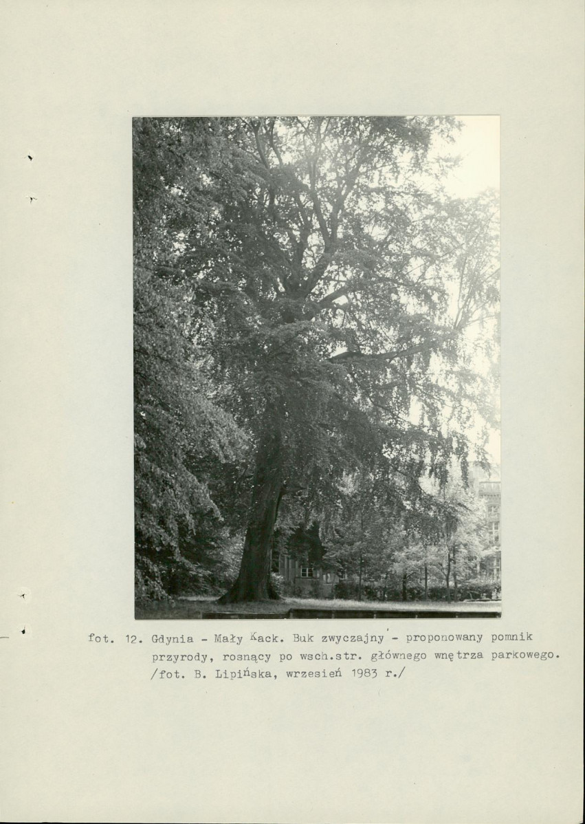 Ewidencja parkowa, skan nr 40