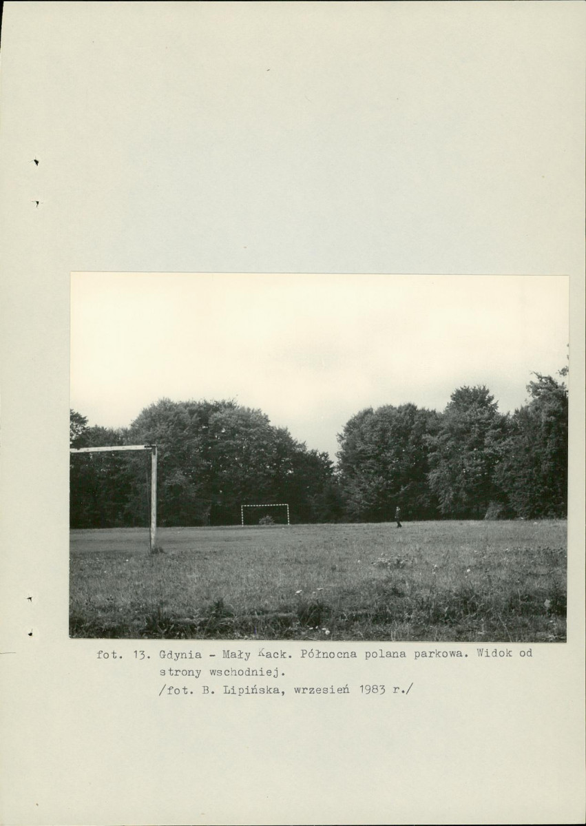 Ewidencja parkowa, skan nr 41