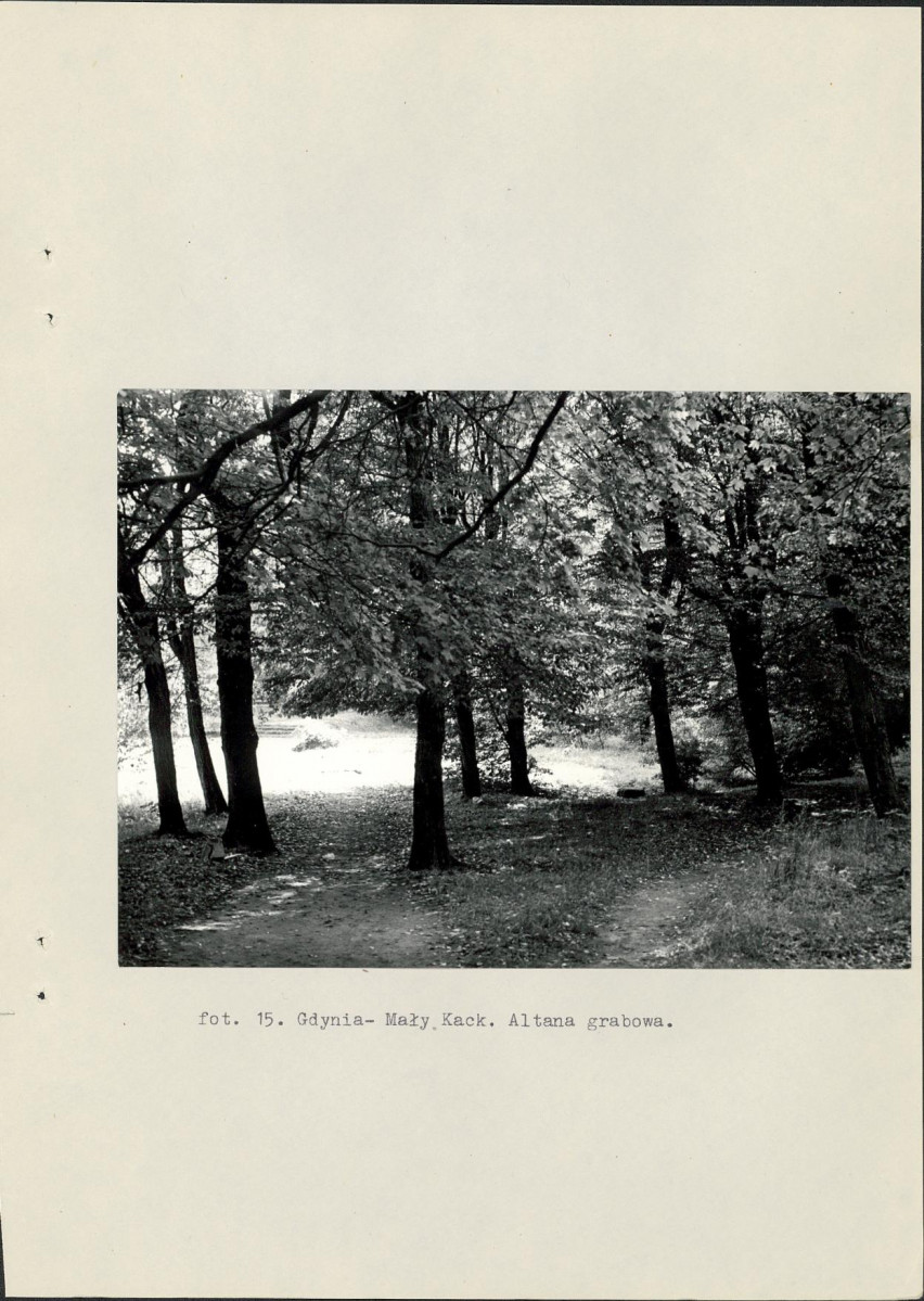 Ewidencja parkowa, skan nr 43