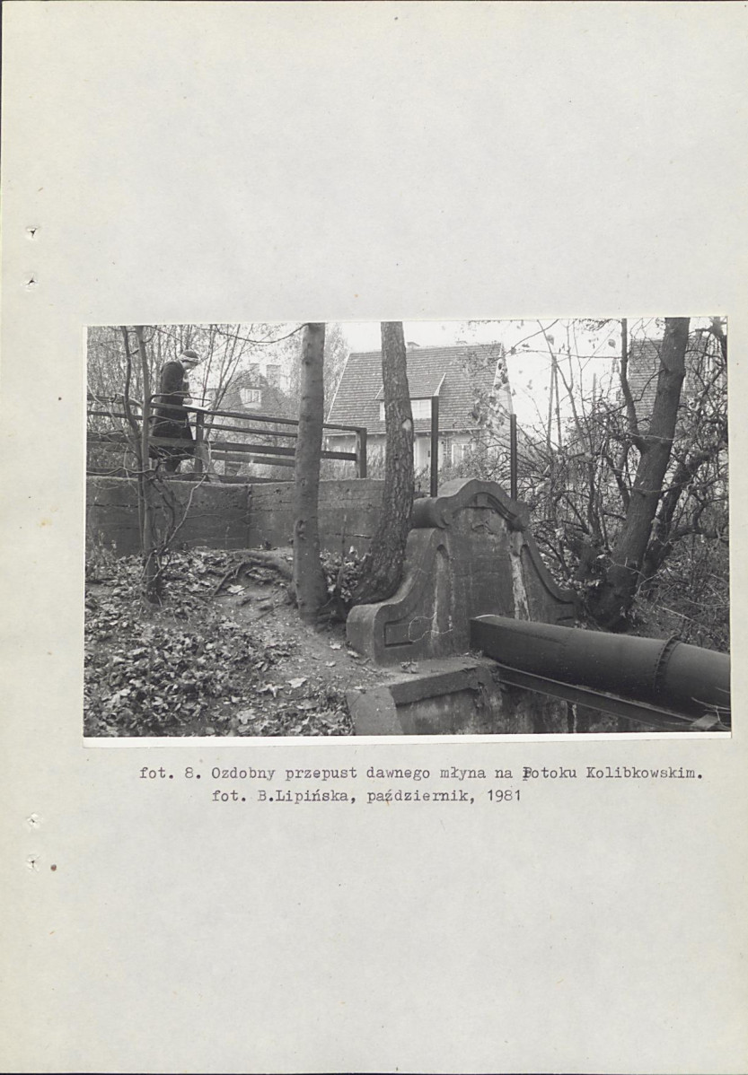 Ewidencja parkowa, skan nr 37