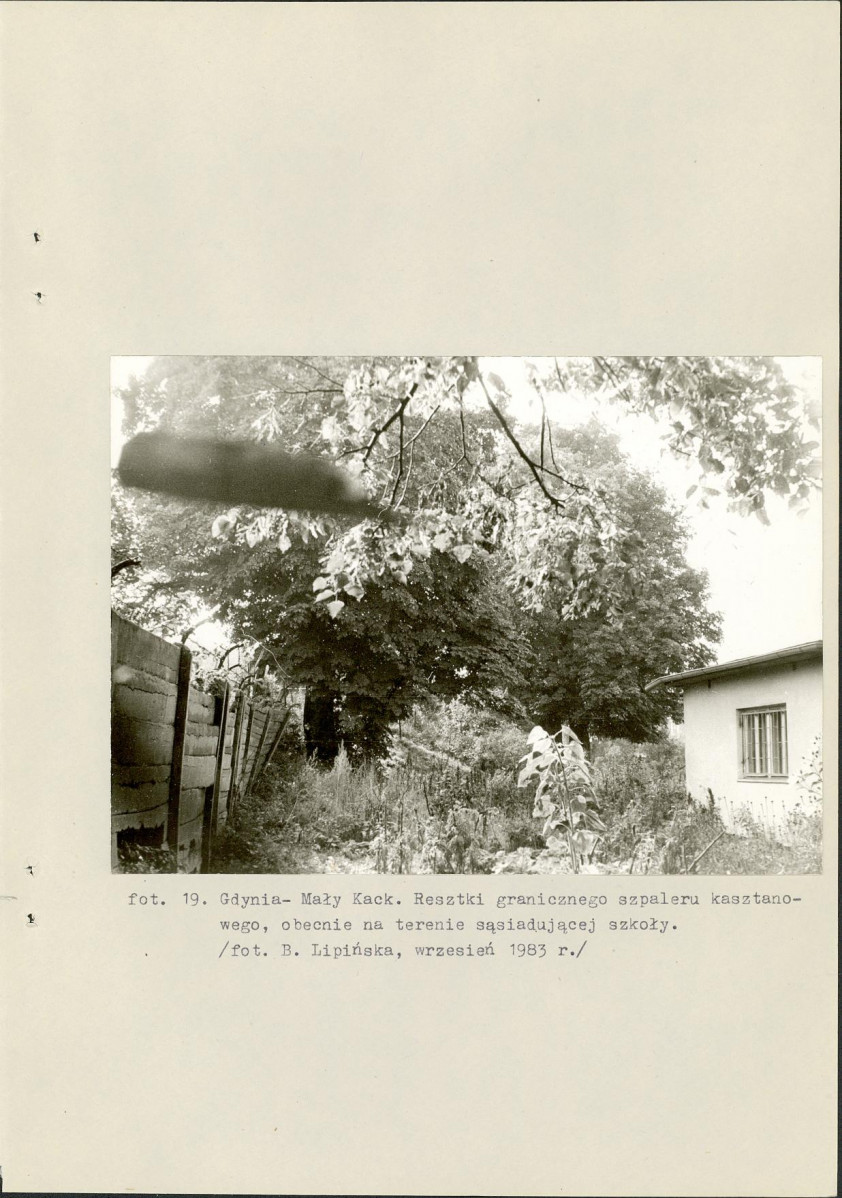 Ewidencja parkowa, skan nr 47