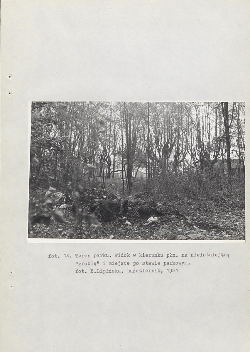 Ewidencja parkowa, skan nr 43