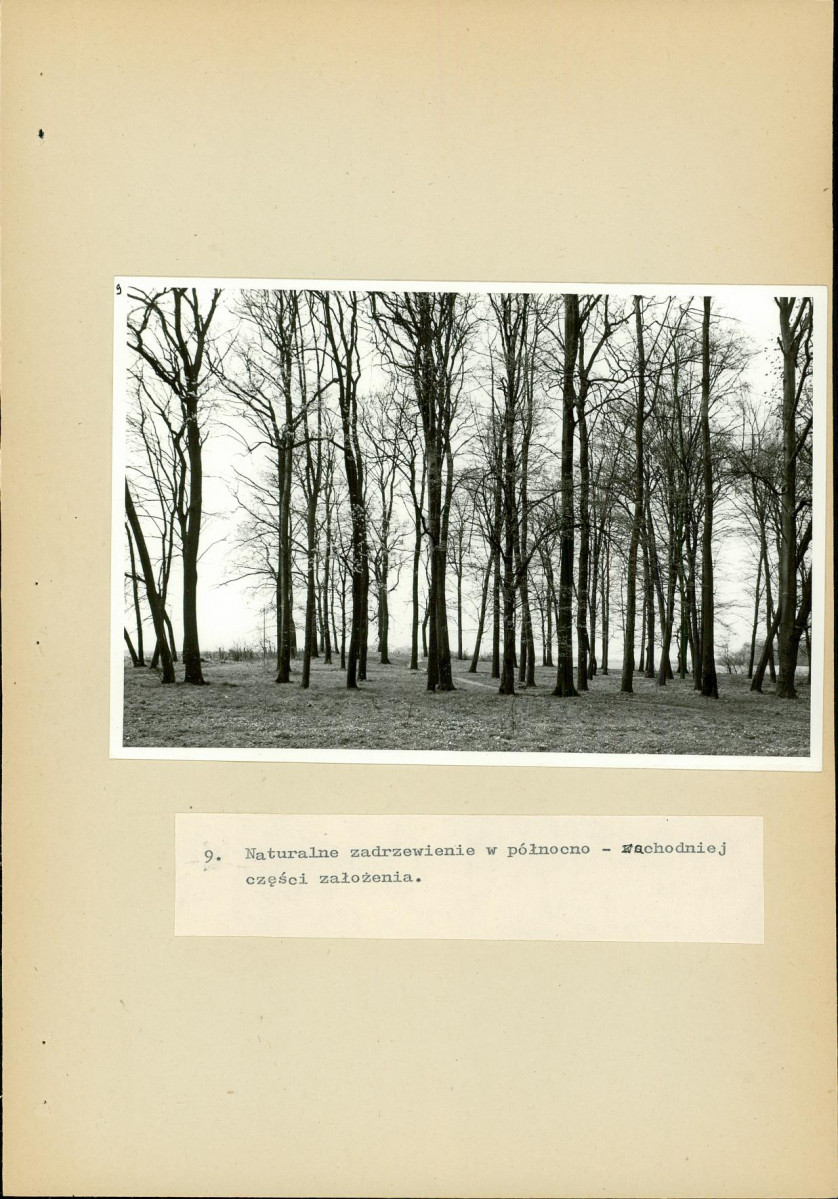 EP - Ewidencja parkowa, skan nr 41