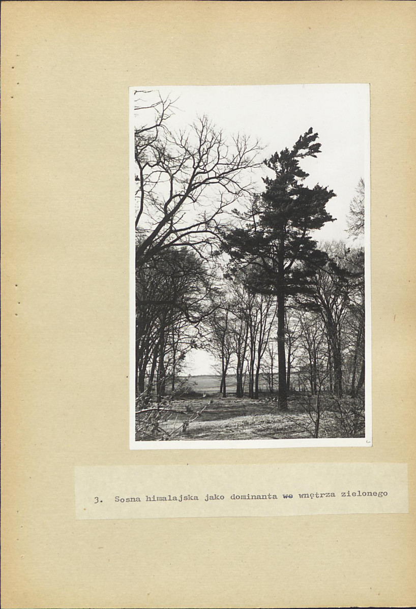 EP - Ewidencja parkowa, skan nr 32