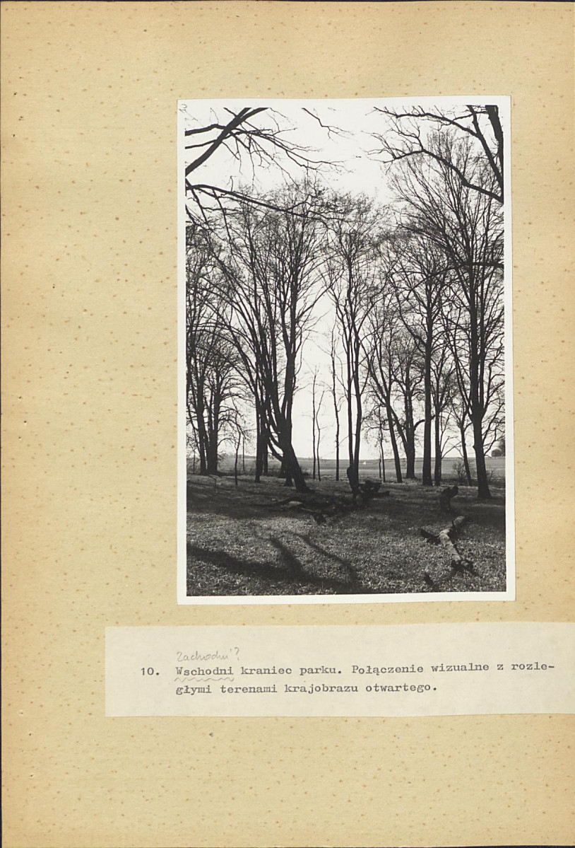 EP - Ewidencja parkowa, skan nr 39