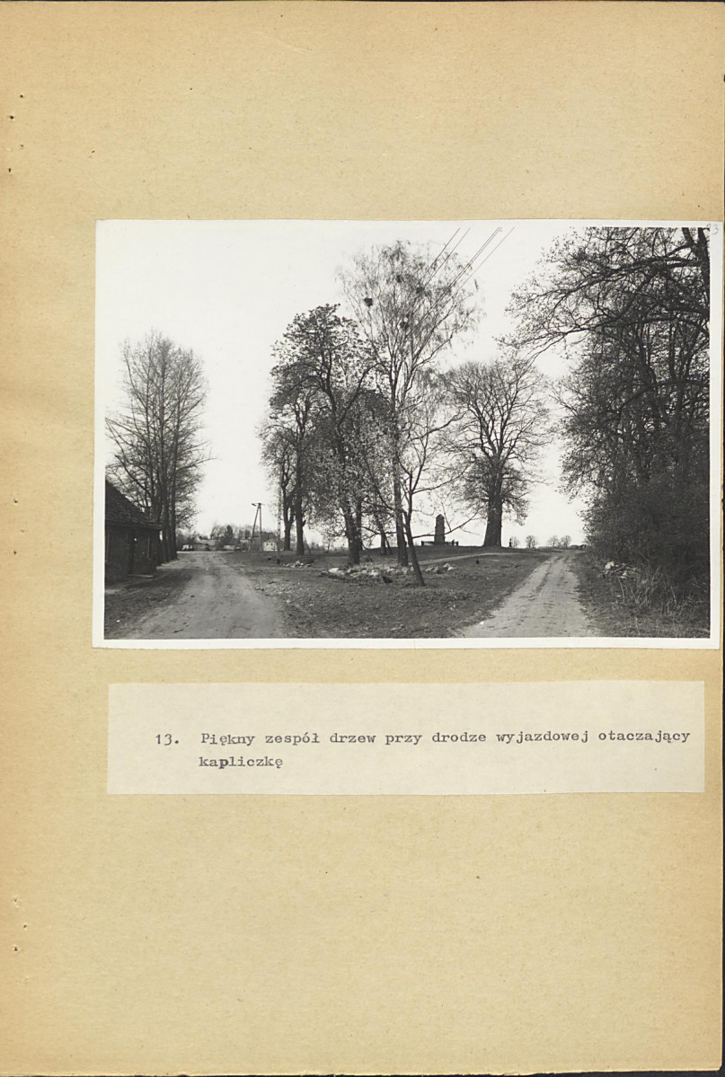 EP - Ewidencja parkowa, skan nr 42