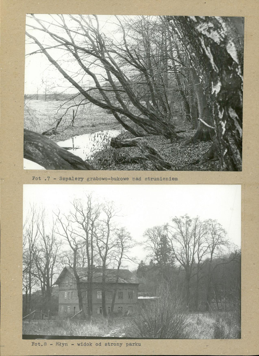 Ewidencja parkowa, skan nr 28