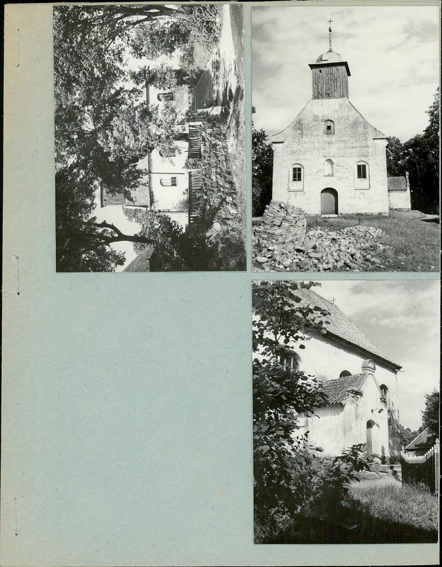 Karta zielona, skan nr 3