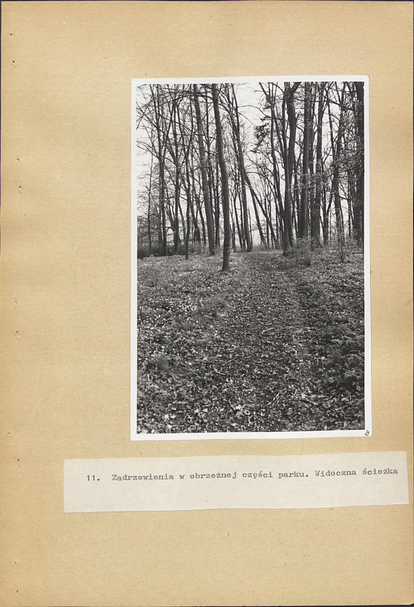 EP - Ewidencja parkowa, skan nr 44