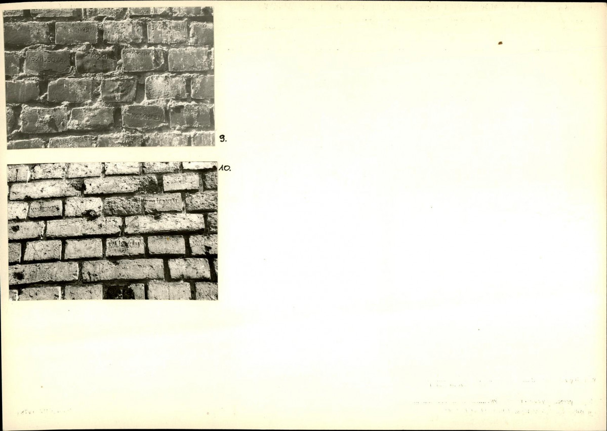 Karta biała, skan nr 35