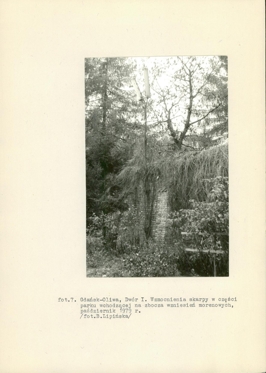 Ewidencja parkowa, skan nr 44