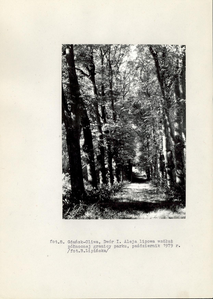 Ewidencja parkowa, skan nr 45