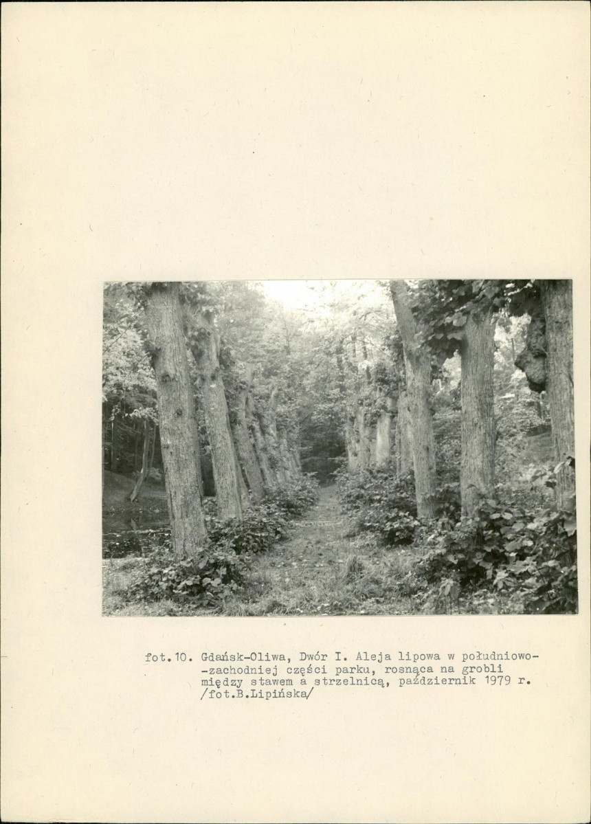 Ewidencja parkowa, skan nr 47