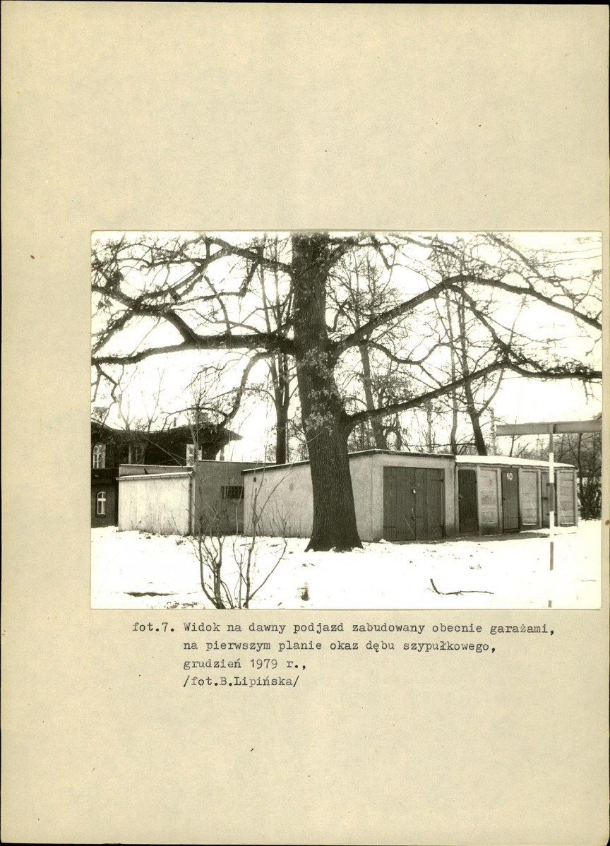 EP - Ewidencja parkowa, skan nr 36