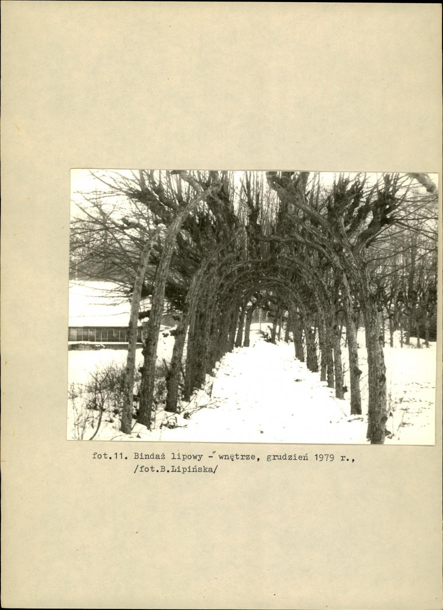 EP - Ewidencja parkowa, skan nr 40