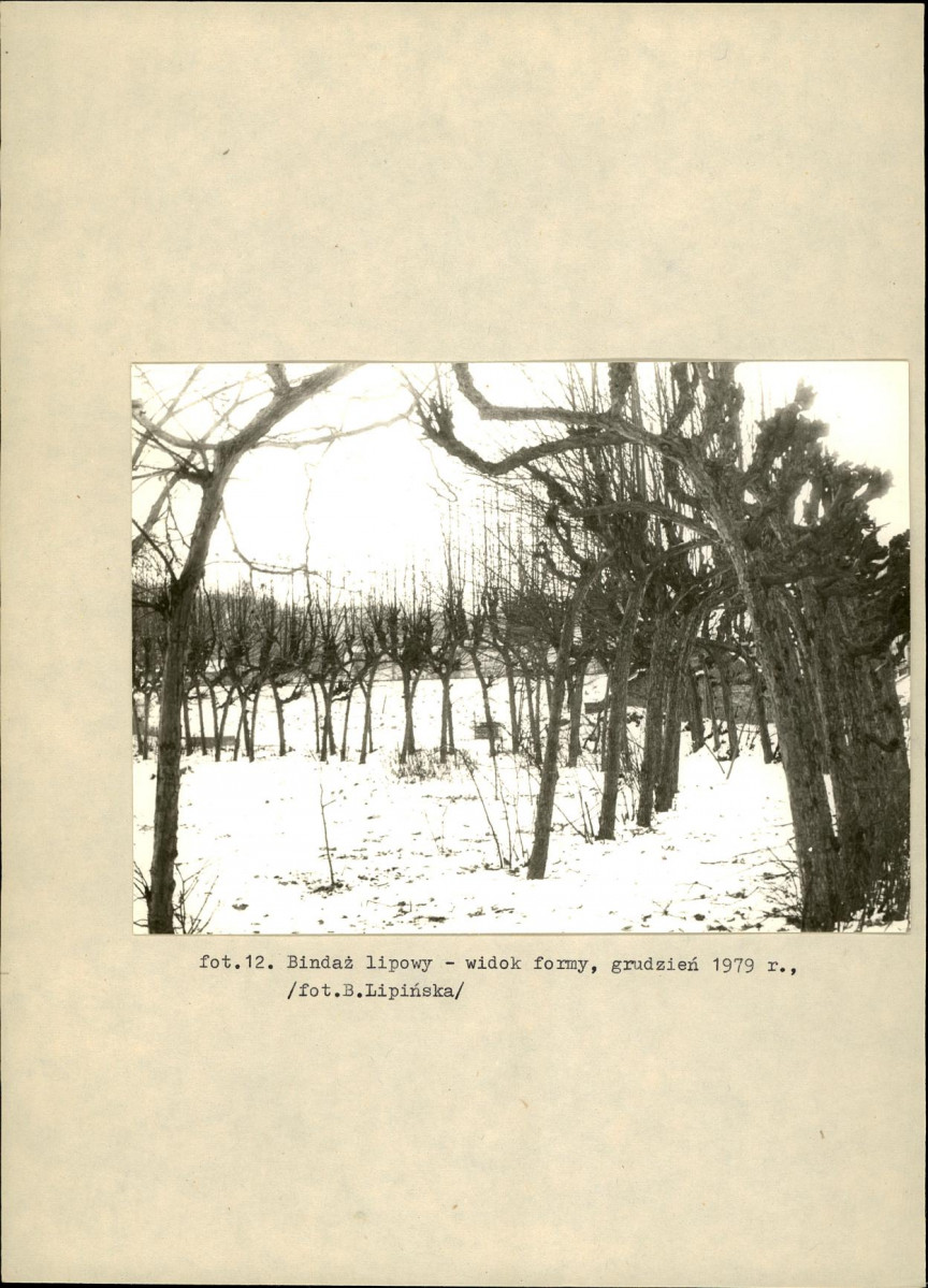 EP - Ewidencja parkowa, skan nr 41