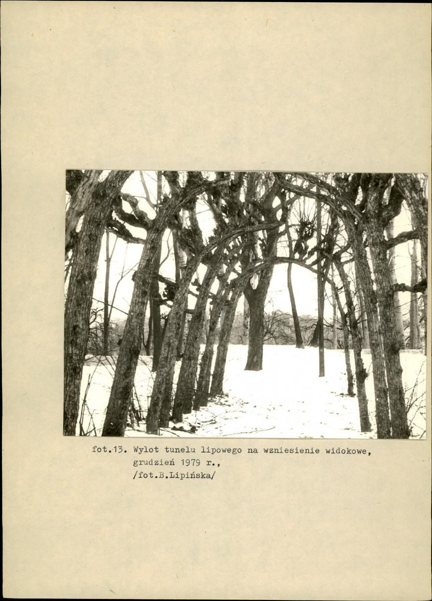 EP - Ewidencja parkowa, skan nr 42