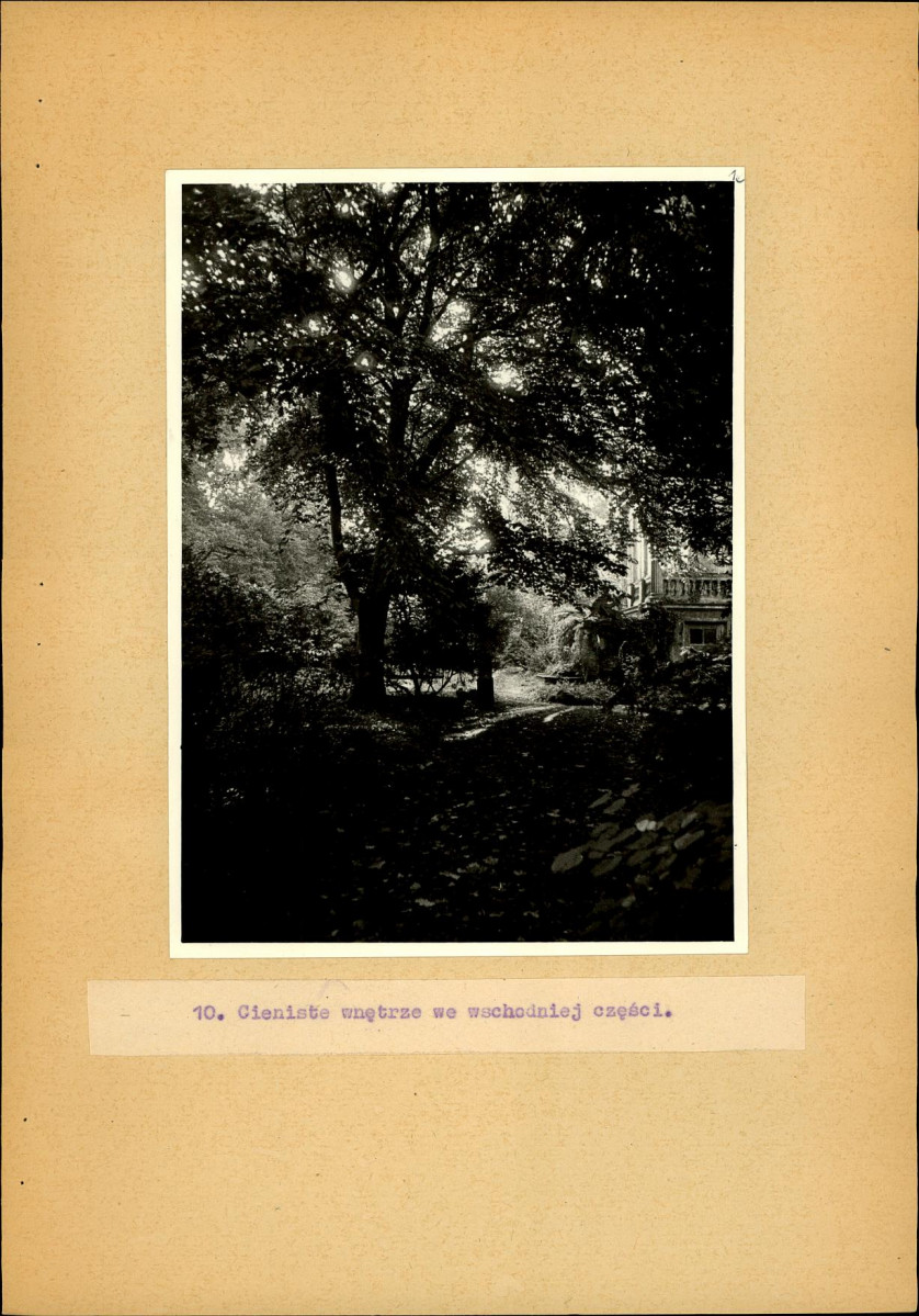 EP - Ewidencja parkowa, skan nr 31