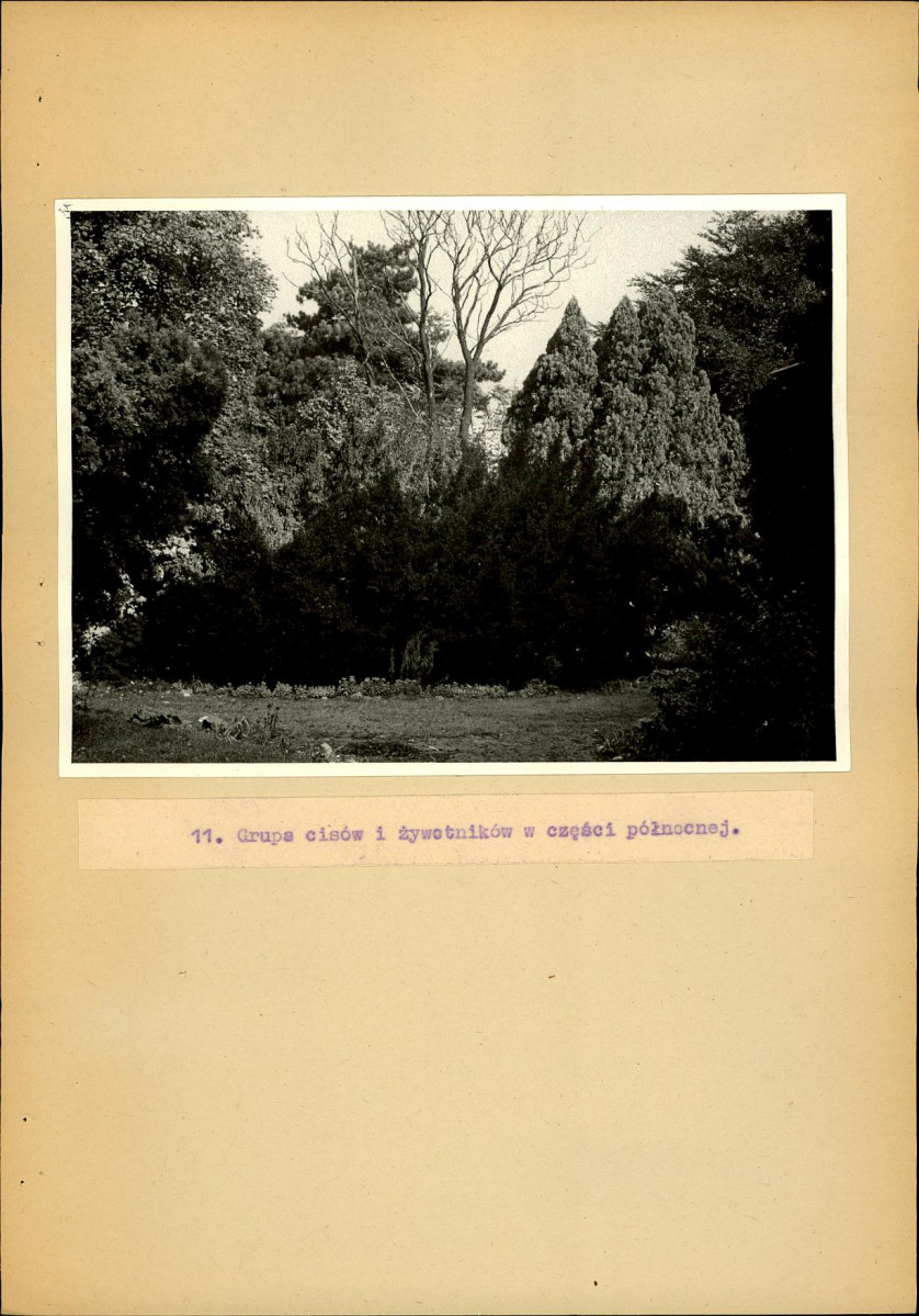 EP - Ewidencja parkowa, skan nr 32