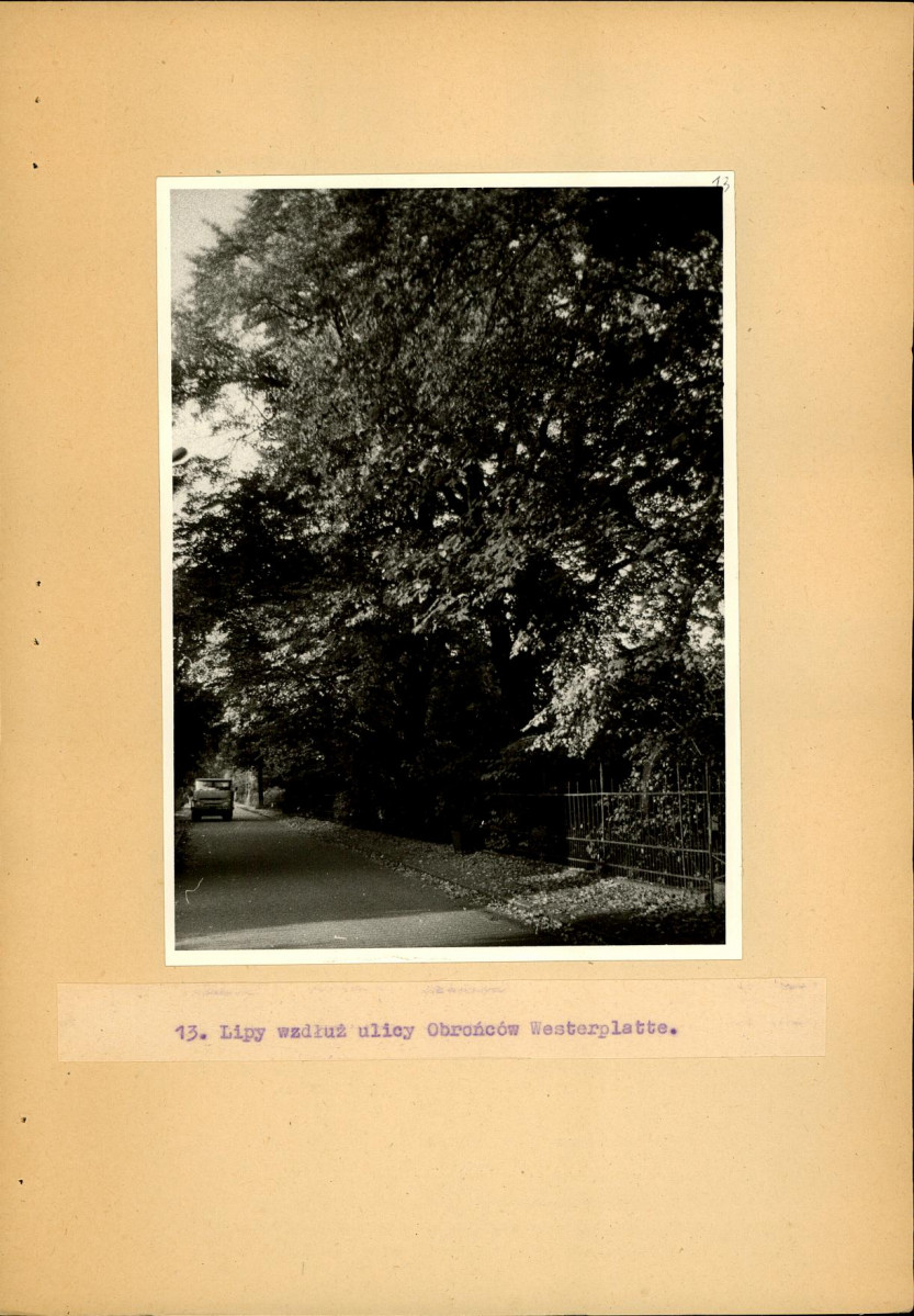 EP - Ewidencja parkowa, skan nr 34