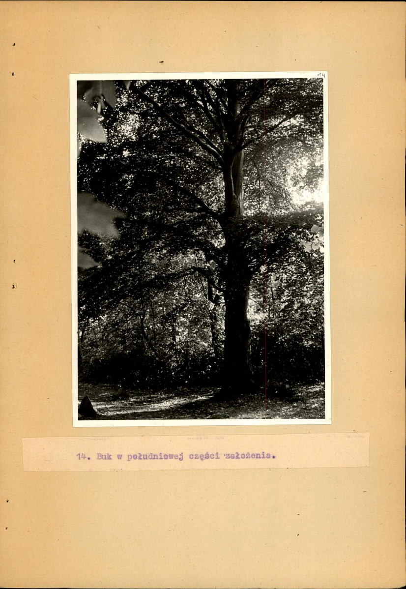 EP - Ewidencja parkowa, skan nr 35