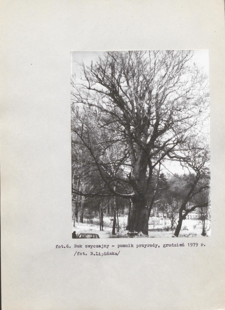 EP - Ewidencja parkowa, skan nr 45
