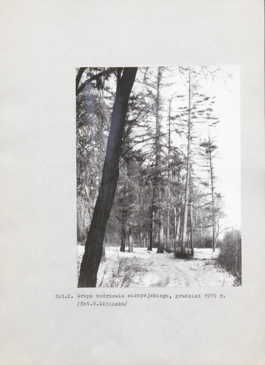 EP - Ewidencja parkowa, skan nr 46