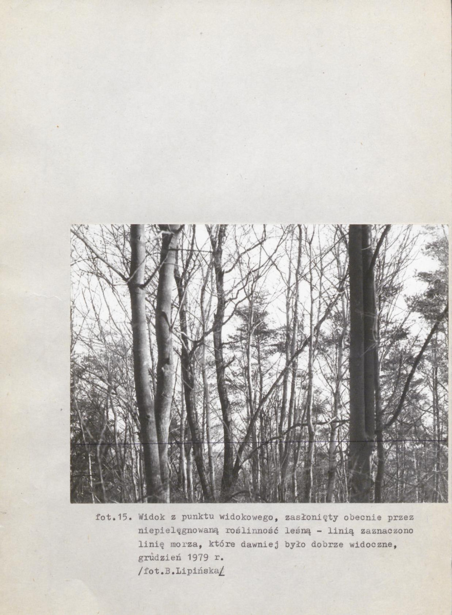 EP - Ewidencja parkowa, skan nr 53