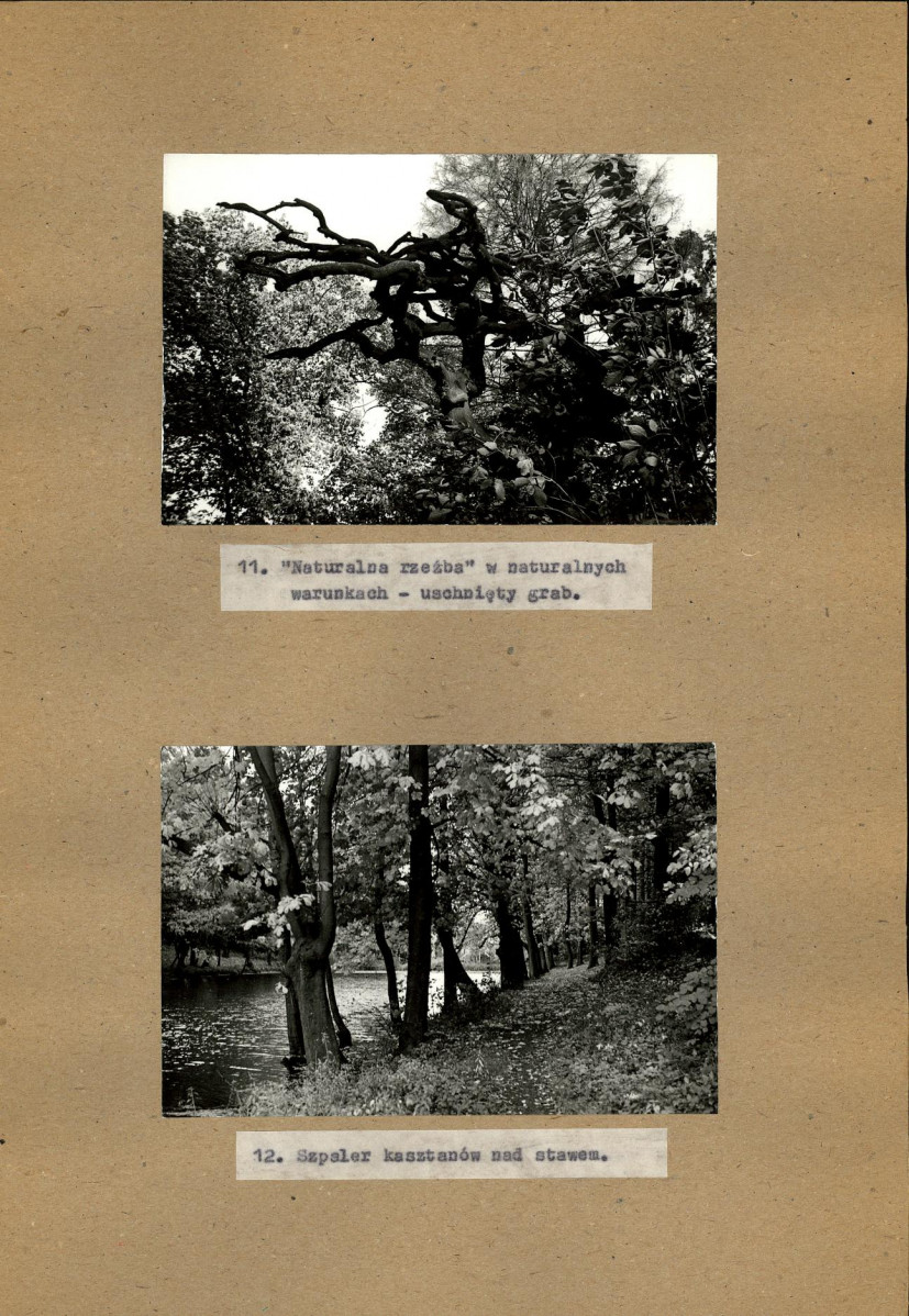 EP - Ewidencja parkowa, skan nr 31