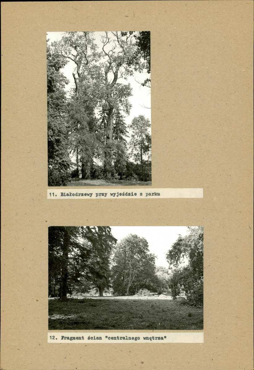 EP - Ewidencja parkowa, skan nr 28