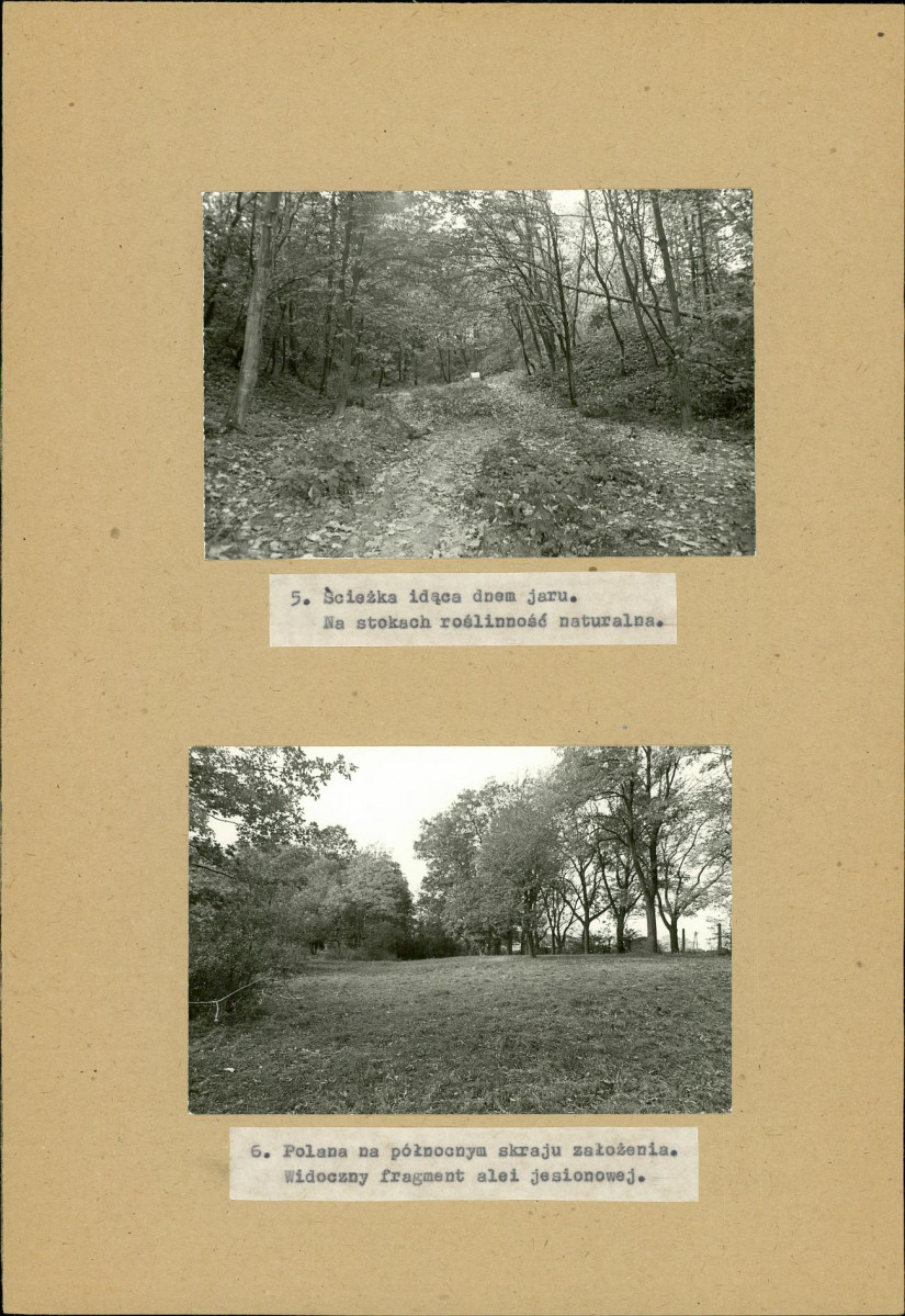 EP - Ewidencja parkowa, skan nr 22