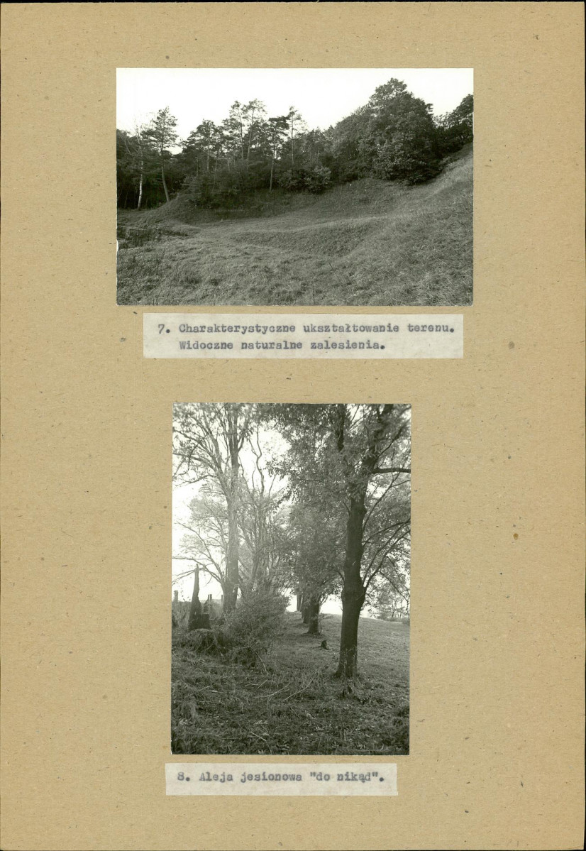 EP - Ewidencja parkowa, skan nr 23