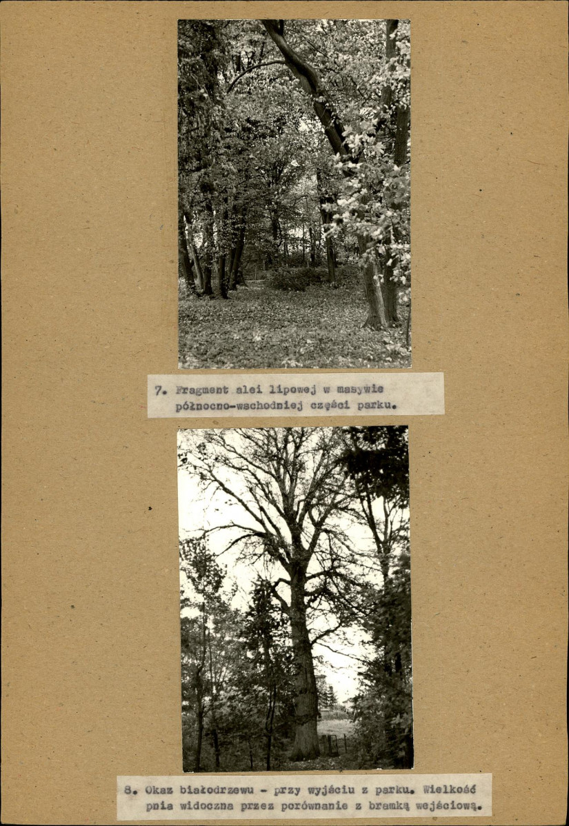 EP - Ewidencja parkowa, skan nr 29