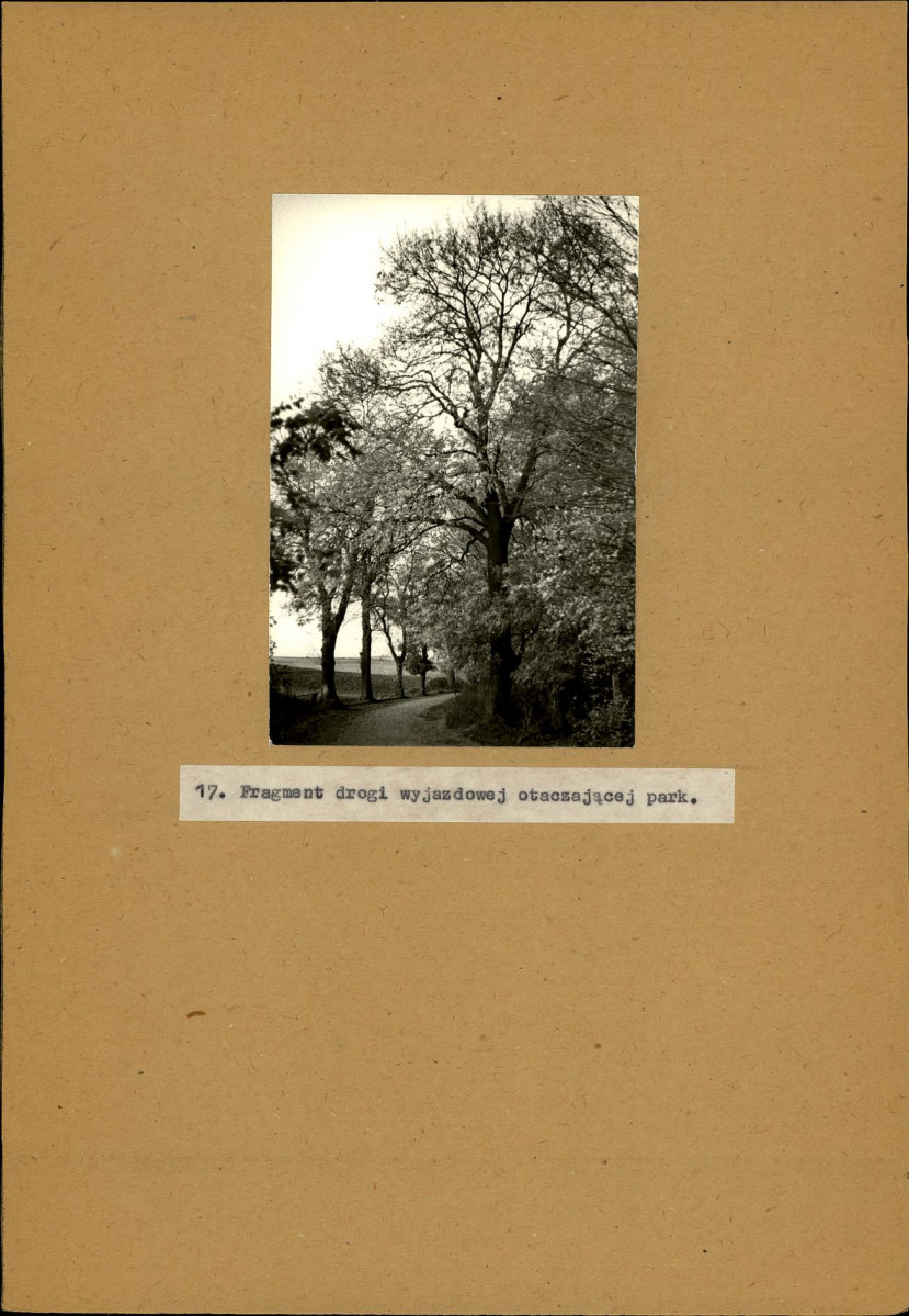 EP - Ewidencja parkowa, skan nr 34