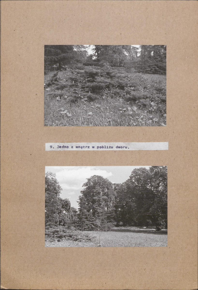 EP - Ewidencja parkowa, skan nr 29