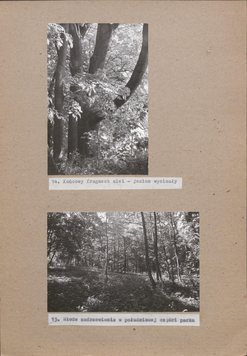 EP - Ewidencja parkowa, skan nr 32
