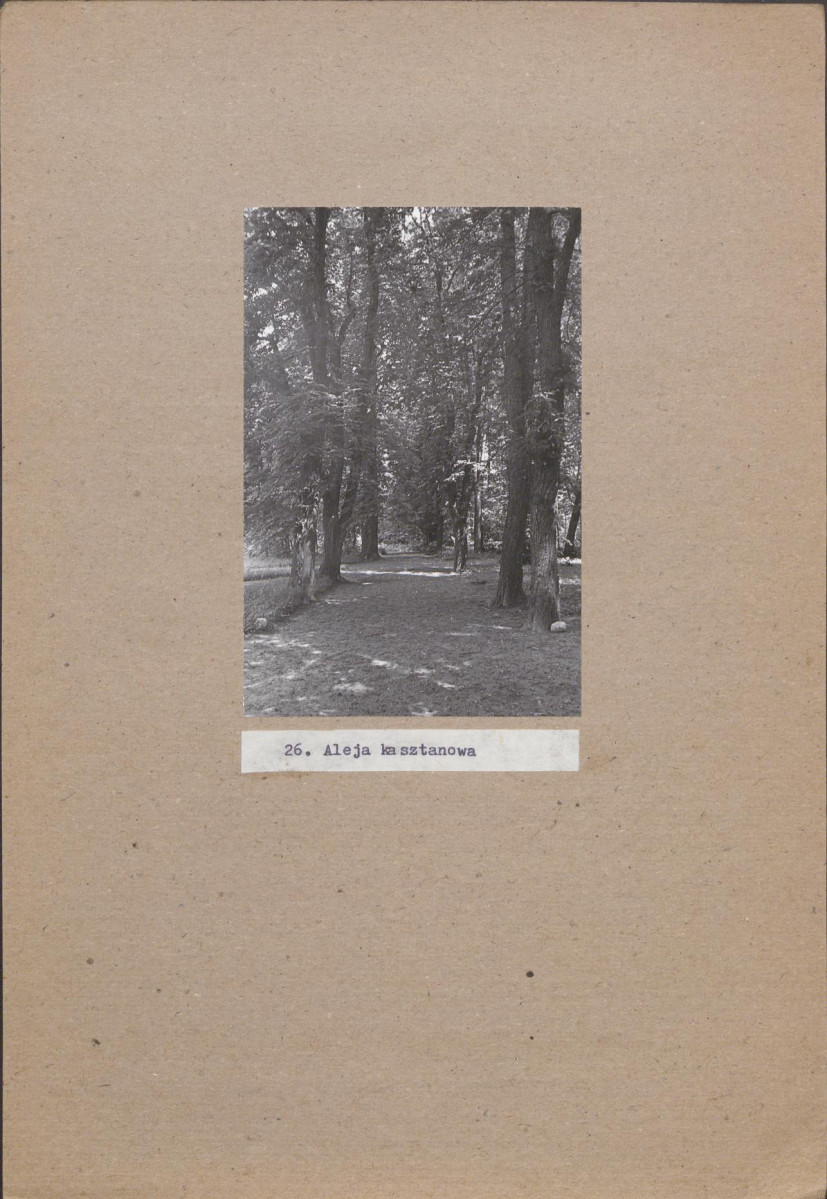 EP - Ewidencja parkowa, skan nr 38