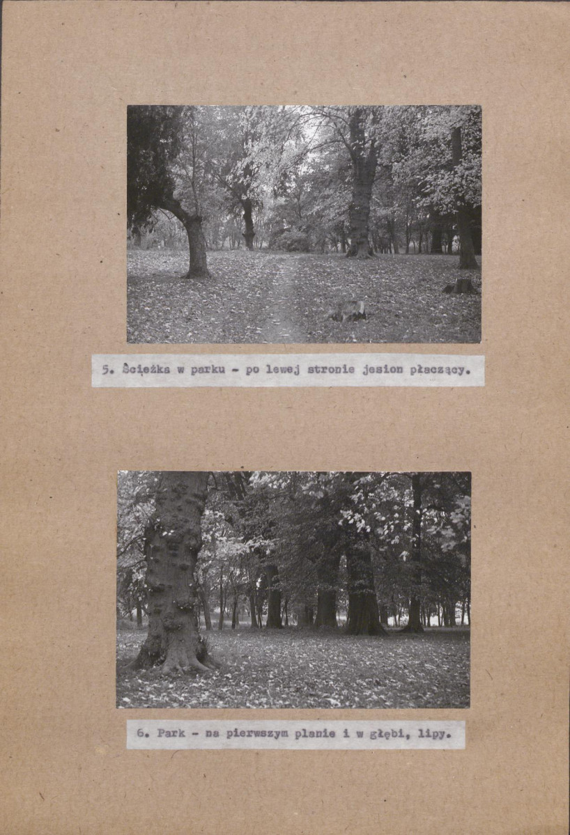 EP - Ewidencja parkowa, skan nr 26