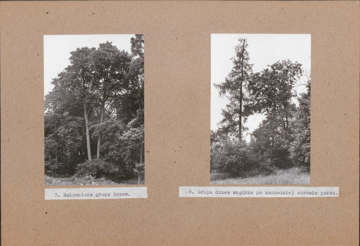 Ewidencja parkowa, skan nr 32