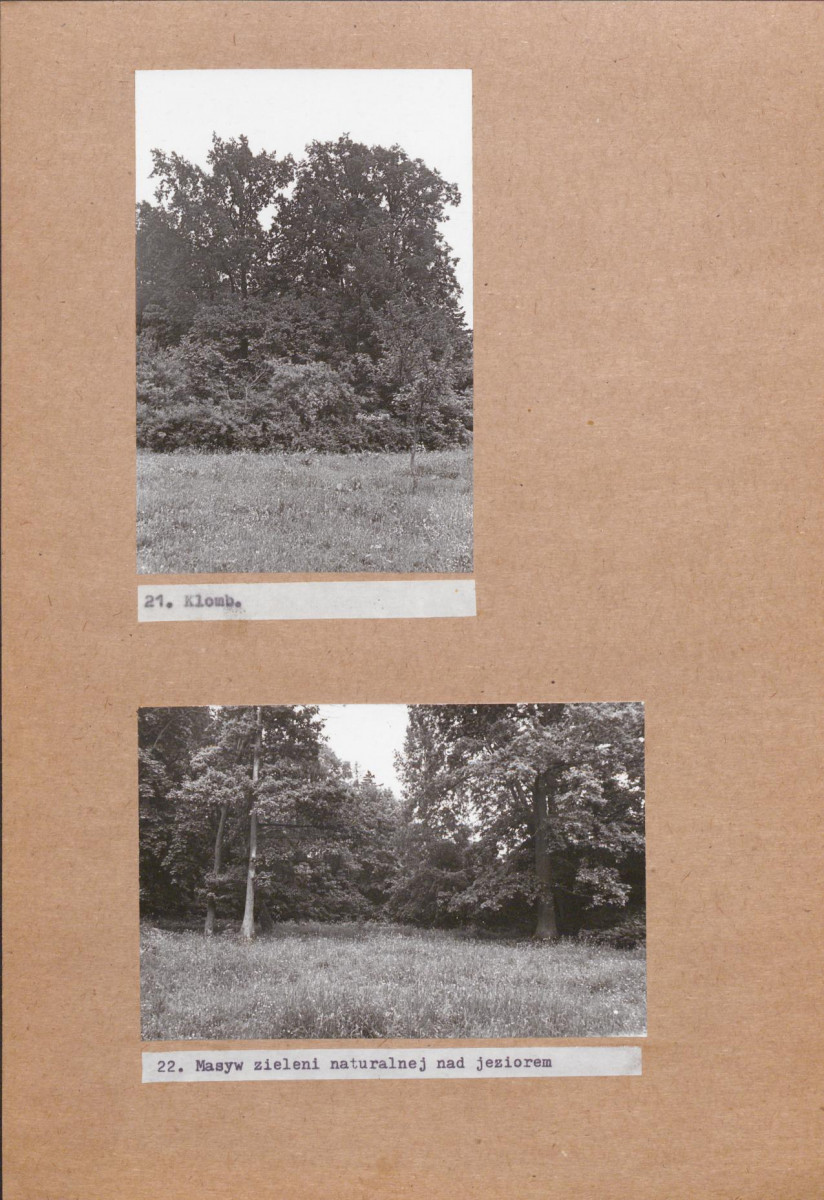 Ewidencja parkowa, skan nr 39
