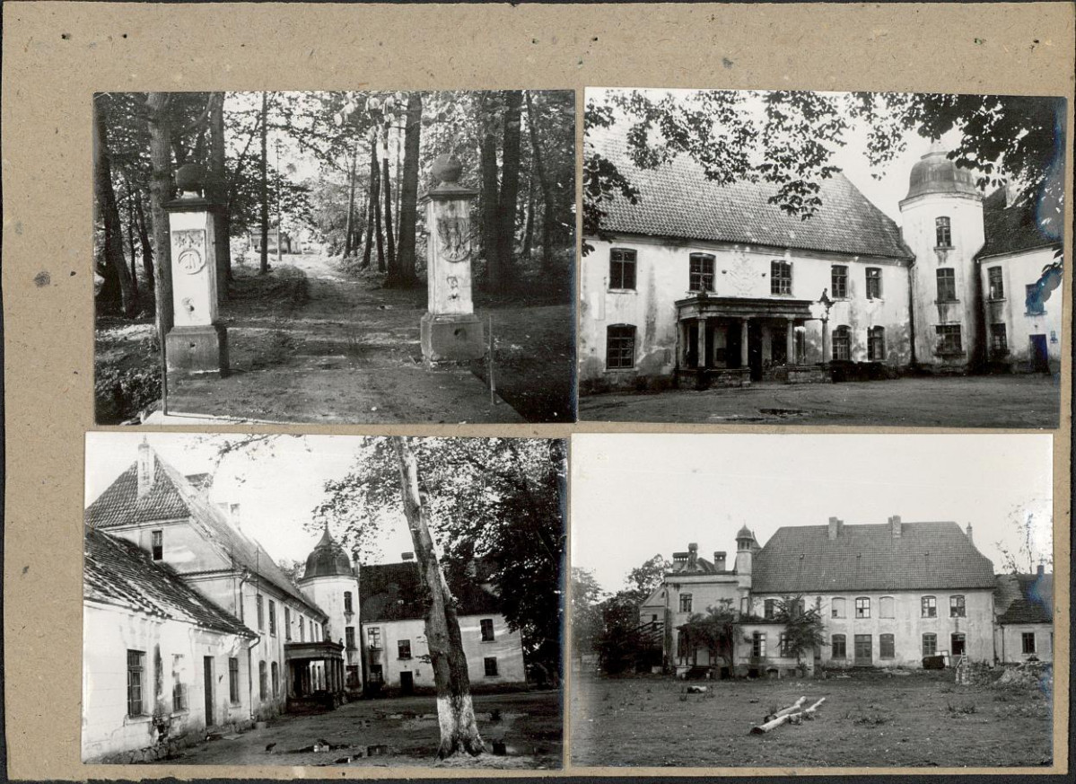 Karta zielona, skan nr 3