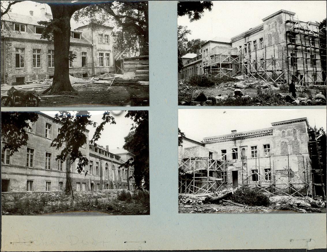 Karta zielona, skan nr 3